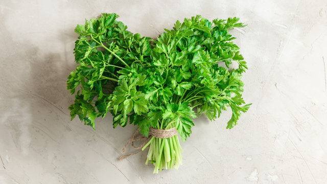 Bunch of parsley on grey concrete background