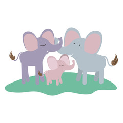 cartoon couple elephants and calf over grass in colorful silhouette on white background vector illustration
