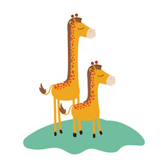 cartoon giraffe mom with calf over grass in colorful silhouette on white background vector illustration