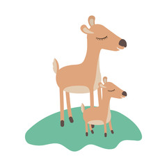 cartoon deer mom and calf over grass in colorful silhouette on white background vector illustration