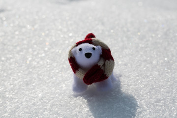Eisbär mit Schal, Winter, Schnee