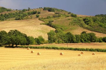 Fototapeta premium Tuscany landscape with hills, yellow fields and hay bales, Tuscany, Italy.
