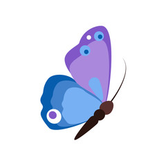 Butterfly vector spring