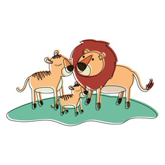 cartoon lions couple and cub over grass in watercolor silhouette on white background vector illustration