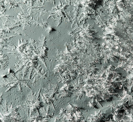 Snowflakes on a gray background