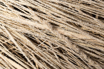 Small snowflakes on dry grass as background