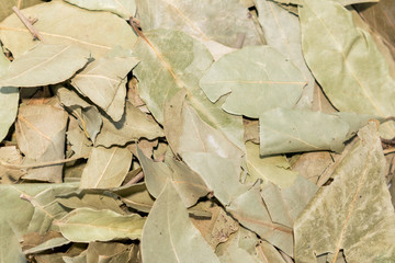 Bay leaves. closeup background texture.