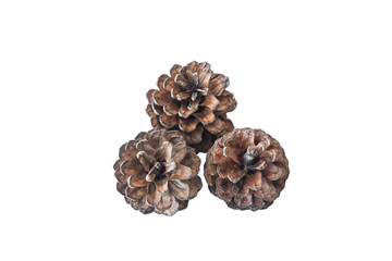 Pine cones isolated on white background with clipping path