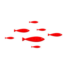 The flock of tropical red fish isolated on white background