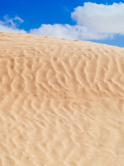 sand dunes in the sahara desert near Douz Tunisia Africa