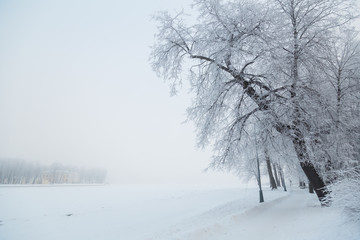 Fototapeta na wymiar зима в городе санкт-петербурге