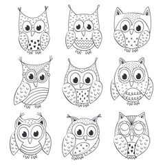 Fotobehang set of isolated funny owls black and white - vector illustration, eps © nataka