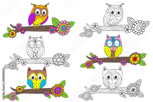 Set Of Isolated Funny Owl On Branch Vector Illustration Eps