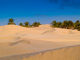 sand dunes in the sahara desert near Douz Tunisia Africa