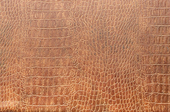 tint brown crocodile skin texture as a wallpaper