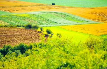 Fototapeta premium Landschaft, Blick vom Heseberg, nördliches Harzvorland, Niedersachsen, Deutschland, Europa