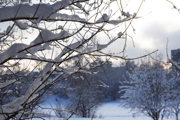 Nice Winter Background