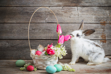 rabbit with Easter eggs on wooden background
