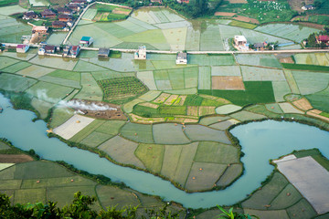 Fototapeta premium Rice field in Bac Son valley in Vietnam