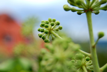 Die Natur ist einzigartig und wunderschön.