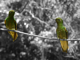 Die Natur ist einzigartig und wunderschön.
