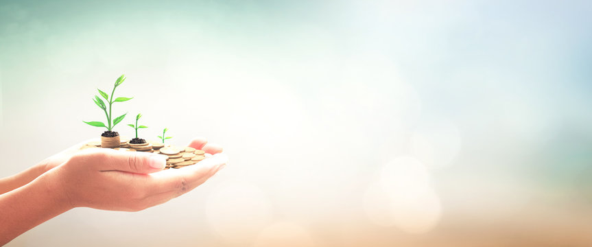Invest and fund concept: Human hands save holding golden coin stack and small tree on blurred nature background.