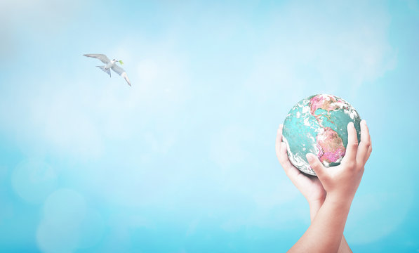 World environment day concept: Two human hand hold earth globe and bird flying on blurred nature background. Elements of this image furnished by NASA