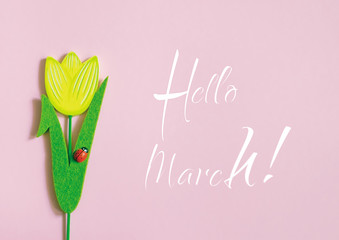 Hello March text with tulip on color background.