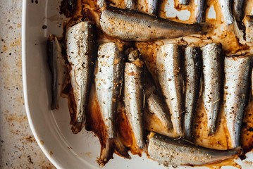 Roasted baltic herring on white plate
