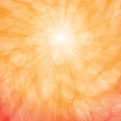      Sun Rays and Bubbles Vector