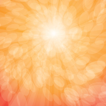      Sun Rays and Bubbles Vector