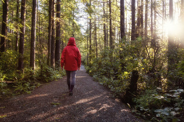 Obraz premium Girl wearing a bright red jacket is walking the the beautiful woods during a vibrant winter morning. Taken in Ucluelet, Vancouver Island, BC, Canada.
