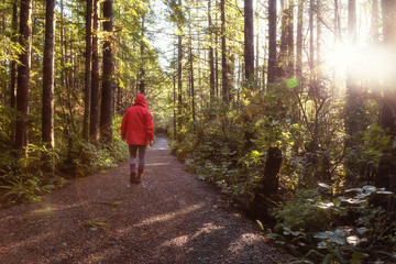 Obraz premium Girl wearing a bright red jacket is walking the the beautiful woods during a vibrant winter morning. Taken in Ucluelet, Vancouver Island, BC, Canada.