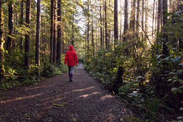 Obraz premium Girl wearing a bright red jacket is walking the the beautiful woods during a vibrant winter morning. Taken in Ucluelet, Vancouver Island, BC, Canada.