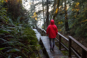 Obraz premium Girl wearing a bright red jacket is walking the the beautiful woods during a vibrant winter morning. Taken in Ucluelet, Vancouver Island, BC, Canada.