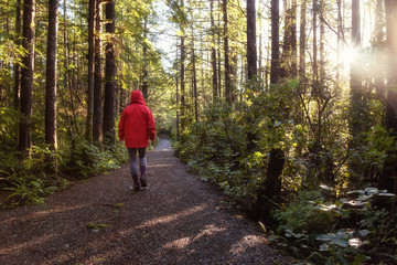 Obraz premium Girl wearing a bright red jacket is walking the the beautiful woods during a vibrant winter morning. Taken in Ucluelet, Vancouver Island, BC, Canada.