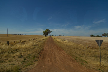 rustic track