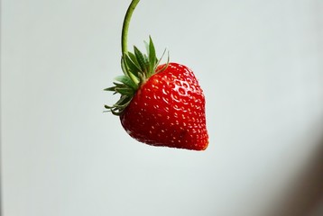 Hand holding A Ripe strawberry in the air, red fruit, plant in countryside farm, feel fresh and sweet, fruit macro photography concept
