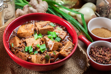 Mapo Tofu - sichuan spicy dish
