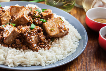 Mapo Tofu - sichuan spicy dish served with rice