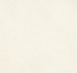  White watercolor paper. Highly detailed  diagonal texture.