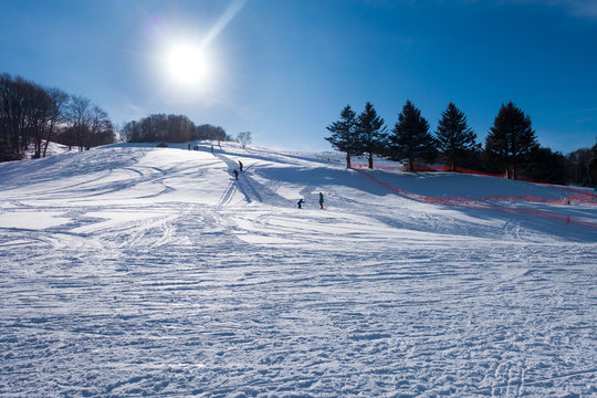 快晴の日のスキー場 / 北海道のスキー場