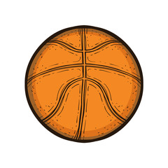 Basketball ball isolated. Drawn sport equipment