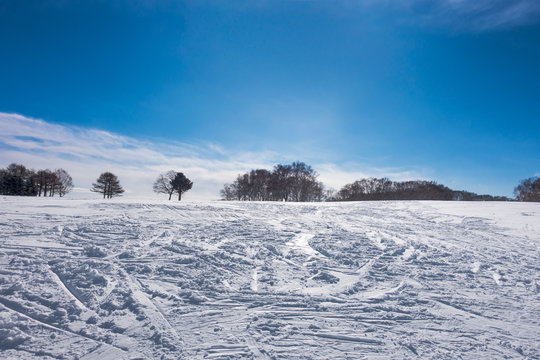 快晴の日のスキー場 / 北海道のスキー場