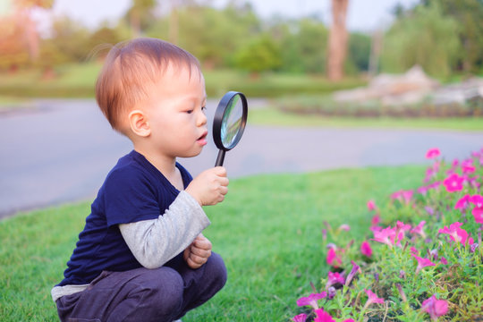 Cute Little Asian 18 Months / 1 Year Old Toddler Baby Boy Child Exploring Environment By Looking Through A Magnifying Glass In Sunny Day At Beautiful Garden, Kid First Experience & Discovery Concept