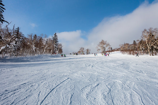 快晴の日のスキー場 / 北海道のスキー場