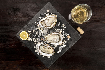 Overhead photo of oysters with wine and place for text