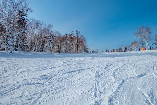快晴の日のスキー場 / 北海道のスキー場