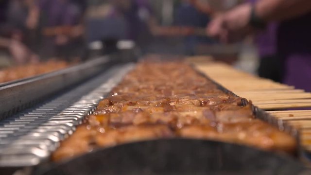 Fleischspie&szlig;/H&auml;hnchenspie&szlig; Drehgrill