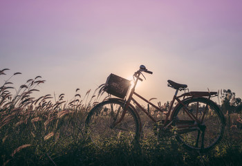 Fototapeta na wymiar Silhouette bicycle on the field